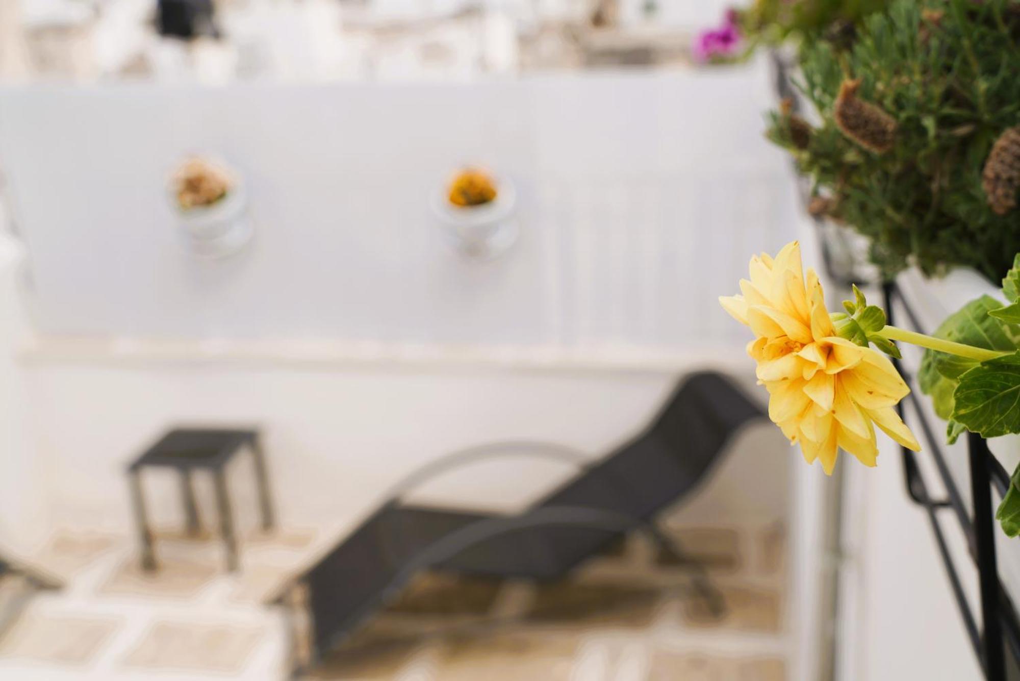 Dimora Le Vele - Eleganza Con Vista Mare Holiday home *